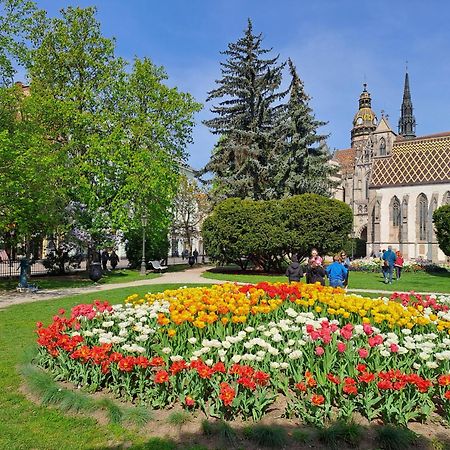 Lux 114 Apartment Košice Εξωτερικό φωτογραφία